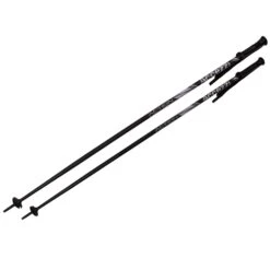 Accezzi Action Skistav