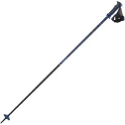 Salomon X10 Ergo S3, Skistave, Sort/blå